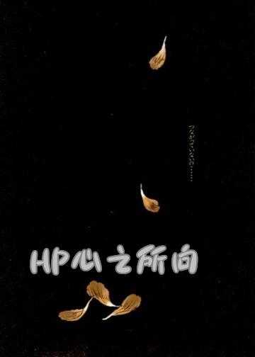 hp烙心小说免费_HP心之所向