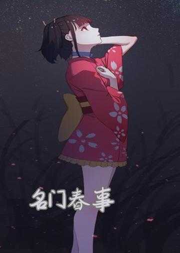 淑女当家小说