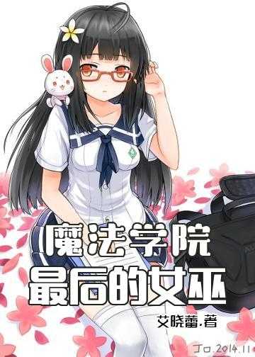 魔法学院言情小说_魔法学院：最后的女巫