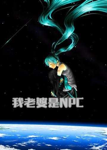 我老婆是NPC