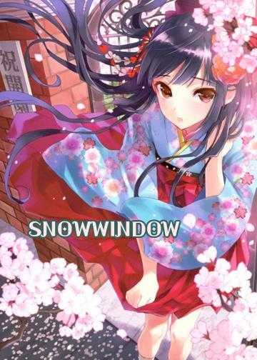 SNOWWINDOW